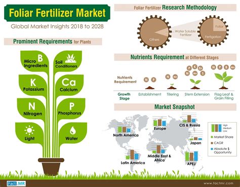 Foliar Fertilizer Overview and Analysis .